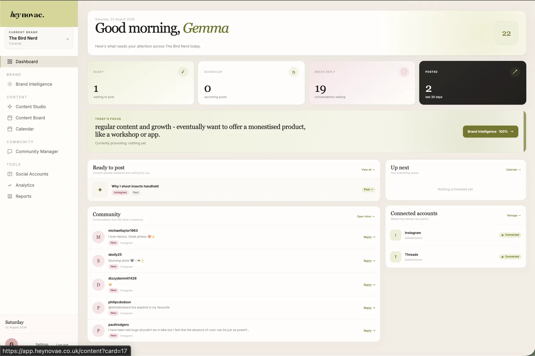 Hey Novae social media dashboard showing content, community and publishing activity